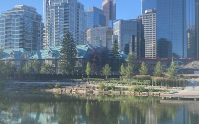 From the Caribbean to Calgary: Our New Adventure Begins!