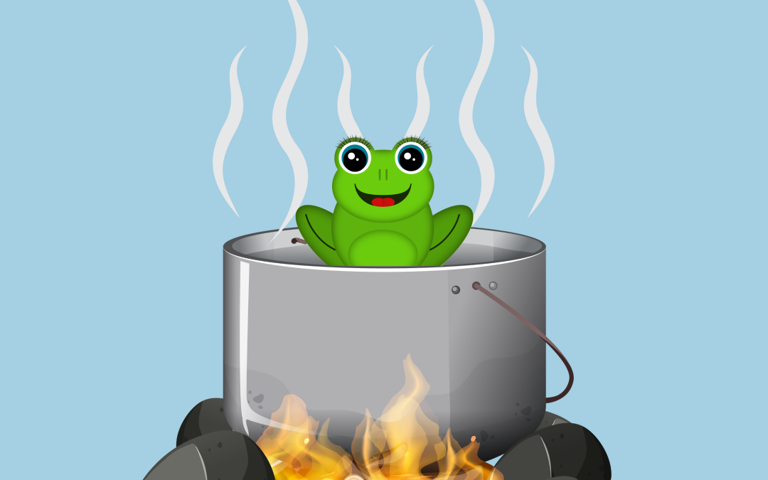Grandma and the Frog Pot